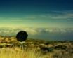Tapety na plochu - Watching the clouds