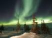 Tapety na plochu - Aurora over trees