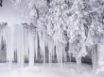 Tapety na plochu - Frozen scenery