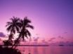 Tapety na plochu - Pink sunset