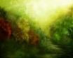 Tapety na plochu - Painted forest