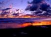 Tapety na plochu - Bird and sunset