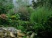 Tapety na plochu - Green scenery