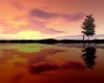 Tapety na plochu - Watching the sunset