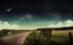 Tapety na plochu - Route 66