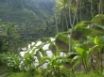 Tapety na plochu - Babilon Gardens