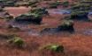 Tapety na plochu - Wind Rocks