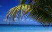 Tapety na plochu - Calm Beach