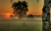 Tapety na plochu - Morning Moment