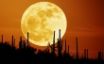 Tapety na plochu - Rising Moon