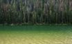 Tapety na plochu - Truly Green