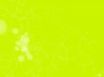 Tapety na plochu - Yellow intermezzo