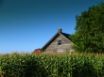 Tapety na plochu - Green House