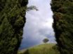 Tapety na plochu - Loney Tree