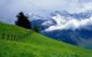 Tapety na plochu - Green Over Clouds