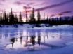 Tapety na plochu - Purple Twilight