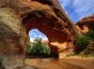 Tapety na plochu - Coyote Natural Bridge