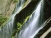 Tapety na plochu - Cascading Water