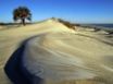 Tapety na plochu - Cumberland Island