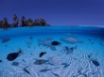 Tapety na plochu - Blue beach