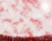 Tapety na plochu - Red rainy day