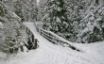Tapety na plochu - Winter bridge