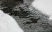 Tapety na plochu - Winter ice flowers
