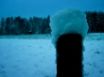 Tapety na plochu - Snow on wood