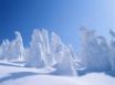 Tapety na plochu - Winter strange forms