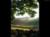 Tapety na plochu - Morning rays