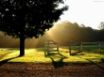 Tapety na plochu - Garden and rays