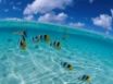 Tapety na plochu - Tropical coast