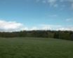 Tapety na plochu - Grass and sky
