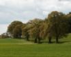 Tapety na plochu - Field and forest