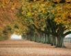 Tapety na plochu - Autumn everywhere