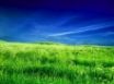 Tapety na plochu - Zeeland field