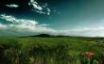 Tapety na plochu - Run in the fields