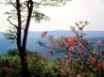 Tapety na plochu - Blue Ridge