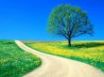 Tapety na plochu - Spring road