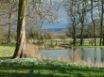 Tapety na plochu - Snowdrops near lake