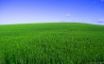 Tapety na plochu - Deep Green Spring