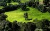 Tapety na plochu - Deep Green