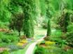 Tapety na plochu - Green Alee