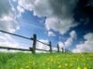 Tapety na plochu - Sky From Grass