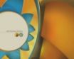 Tapety na plochu - QNS orange