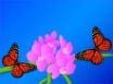 Tapety na plochu - Colours of spring