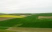 Tapety na plochu - Fields in spring