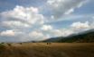 Tapety na plochu - Haystacks on field