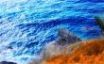 Tapety na plochu - ORBlue Caribe