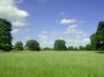 Tapety na plochu - Lollitree Landscape
